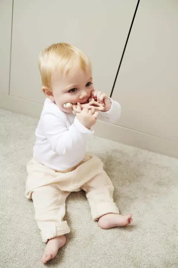 Teething toy