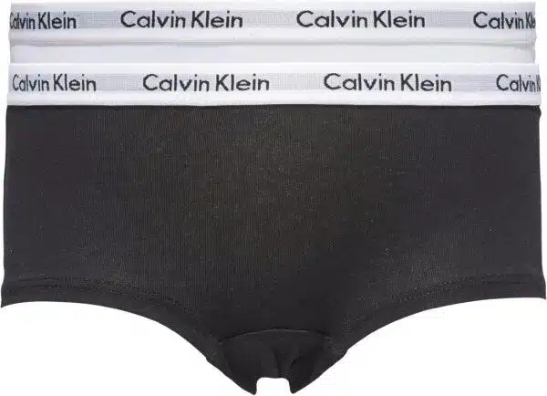 Calvin Klein Girls  2 Pack Hipster Panties Modern Cotton