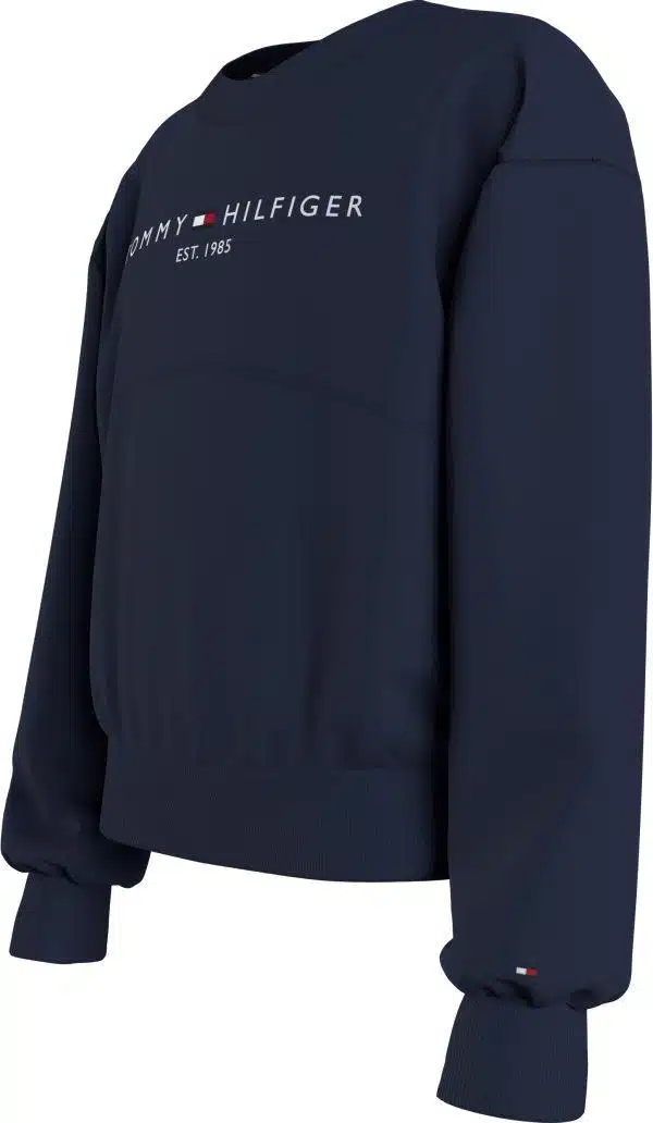 Navy sweater