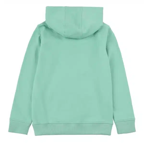 Boys hoodie