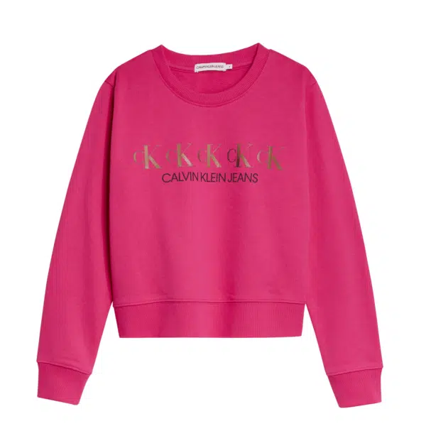 Girls sweatshirt