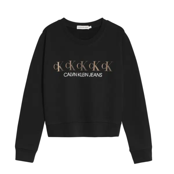 Girls sweatshirt