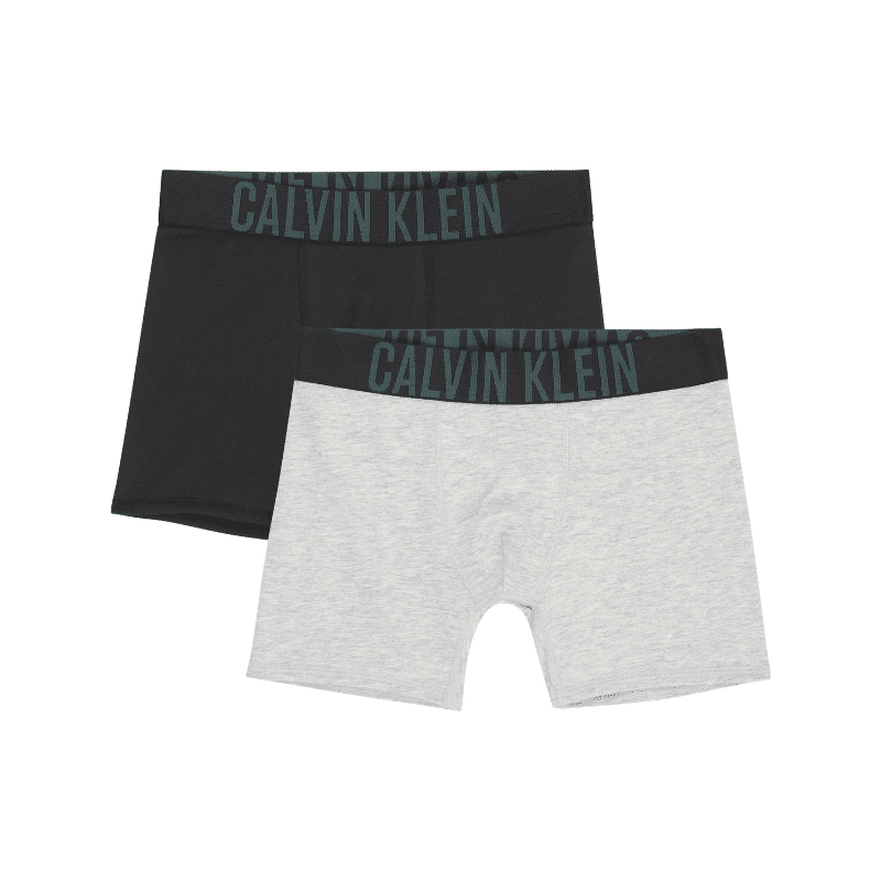 Calvin Klein 2 Pack Trunks