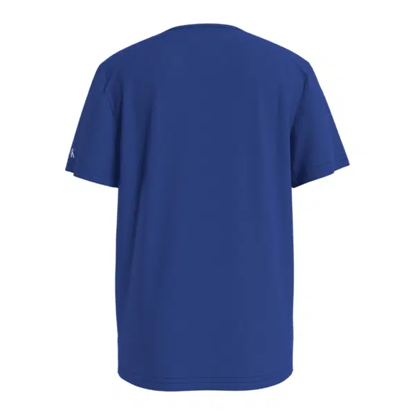 Calvin Klein Jeans boys blue tshirt back view