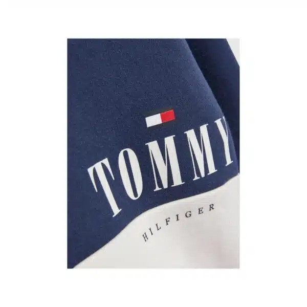 Tommy boys colour block hoodie close up