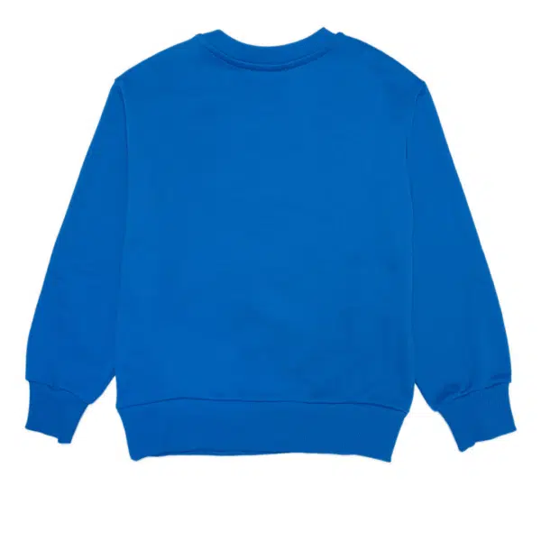 Diesel Industry Denim division boys blue sweater back view