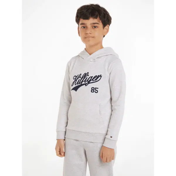 Tommy Hilfiger retro style boys hoodie on model