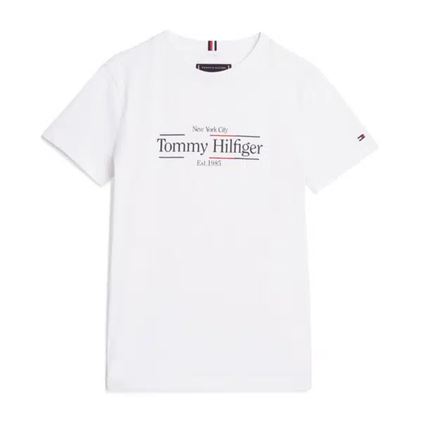 TOMMY HILFIGER ICON PRINT REGULAR TEE SS (3)